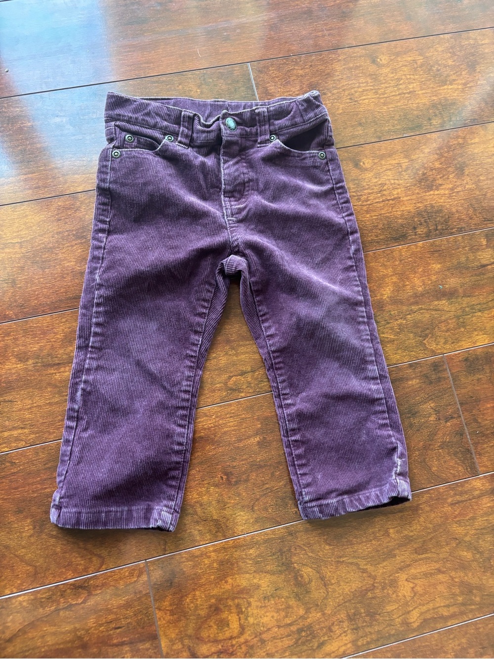 Janie & Jack Boy’s Corduroy Pants in Deep Purple 18-24 Months